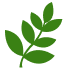 productos naturales